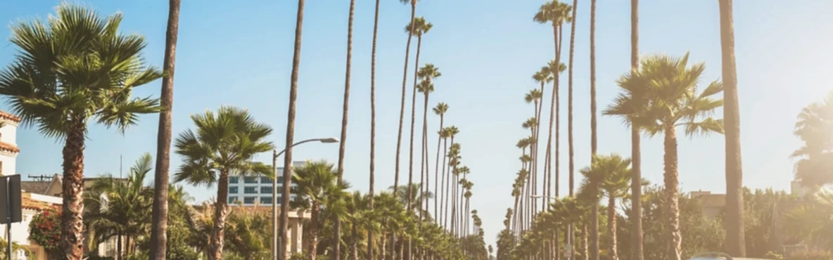 Downtown Mumbai Things to Do